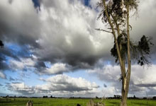 开云足球直播-关于切尔西重获胜利，稳居欧冠资格区的信息