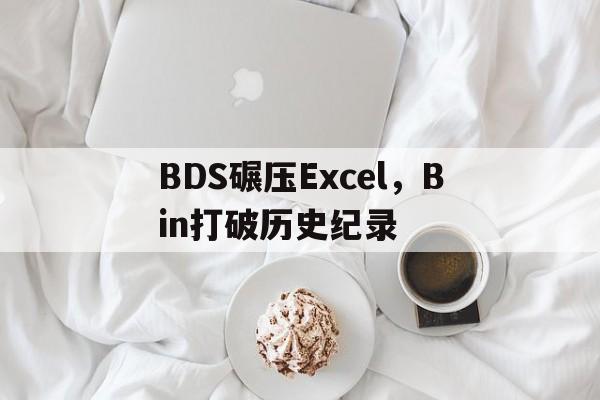 BDS碾压Excel，Bin打破历史纪录