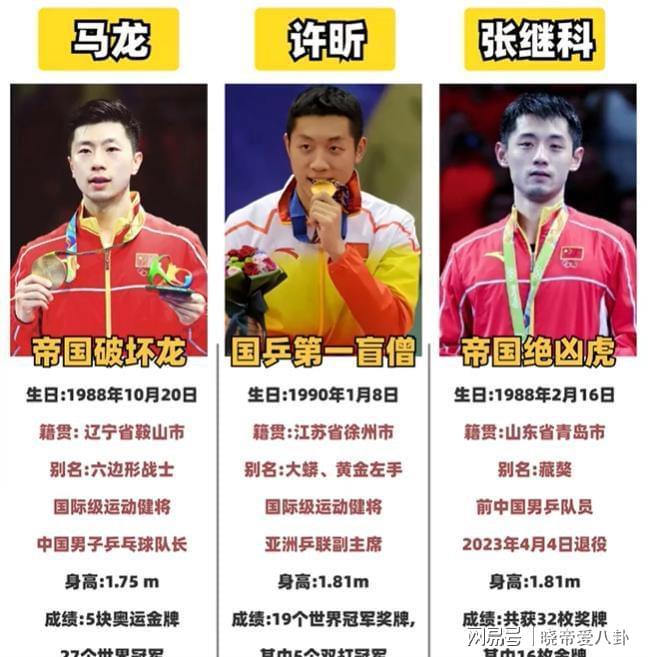 韩国队横扫葡萄牙队，张继科高光表现的简单介绍