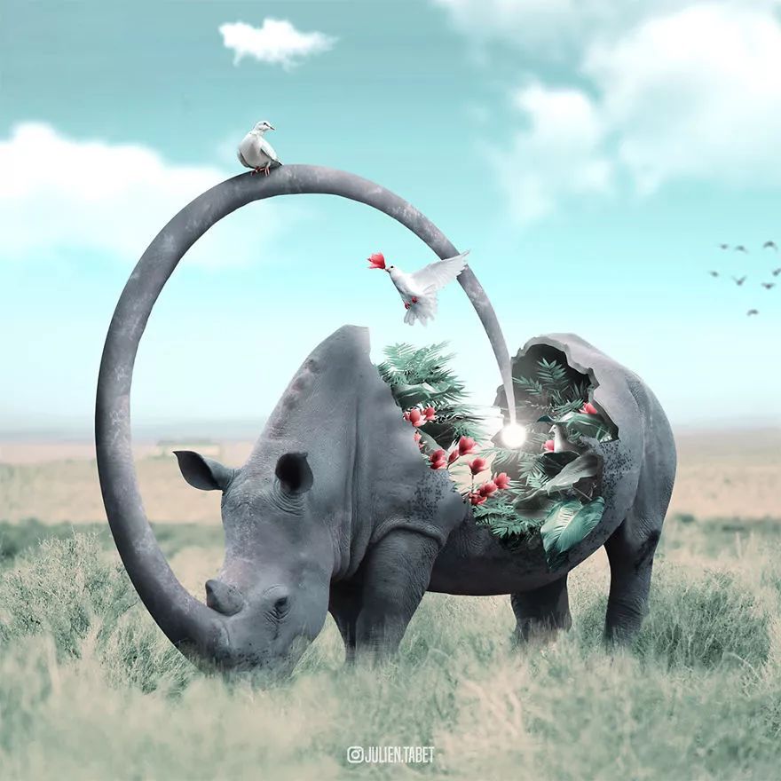 法国力擒瑞典，哈尔兰神话续写的简单介绍