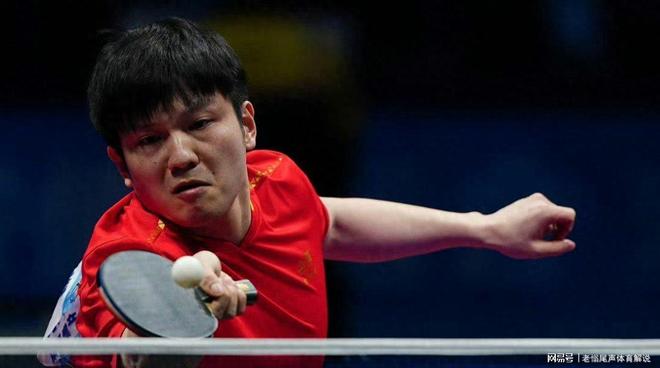 关于韩国队绝杀奥地利队，樊振东状态火热的信息