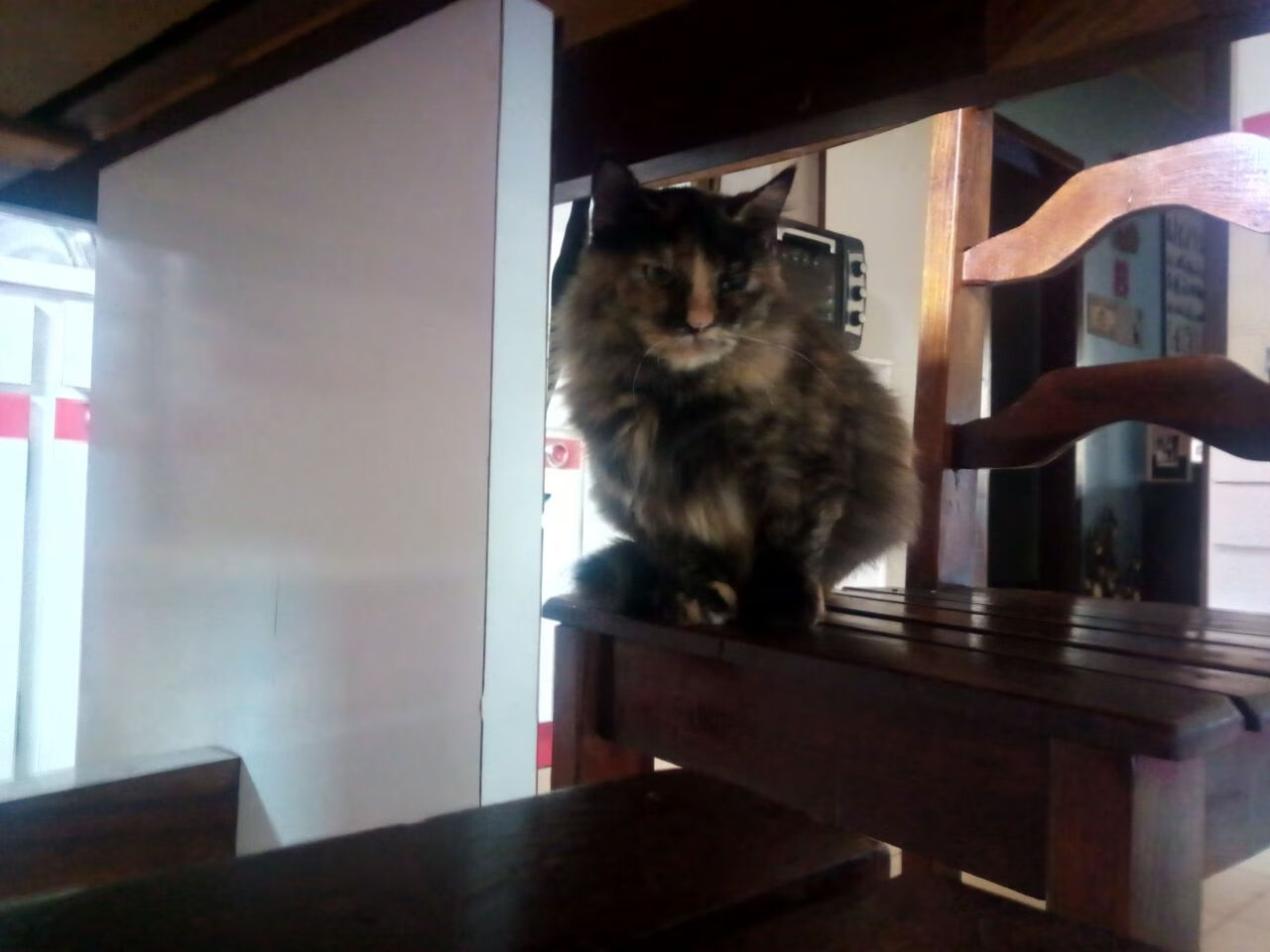 伊萨克一剑封喉成胜负手，乌拉圭坚韧斩落秘鲁