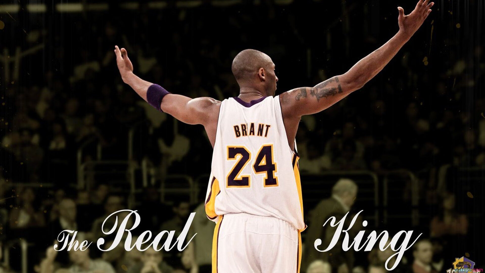 暗夜迷宫，阿尔瓦雷斯与那场无解的F1街道赛对决