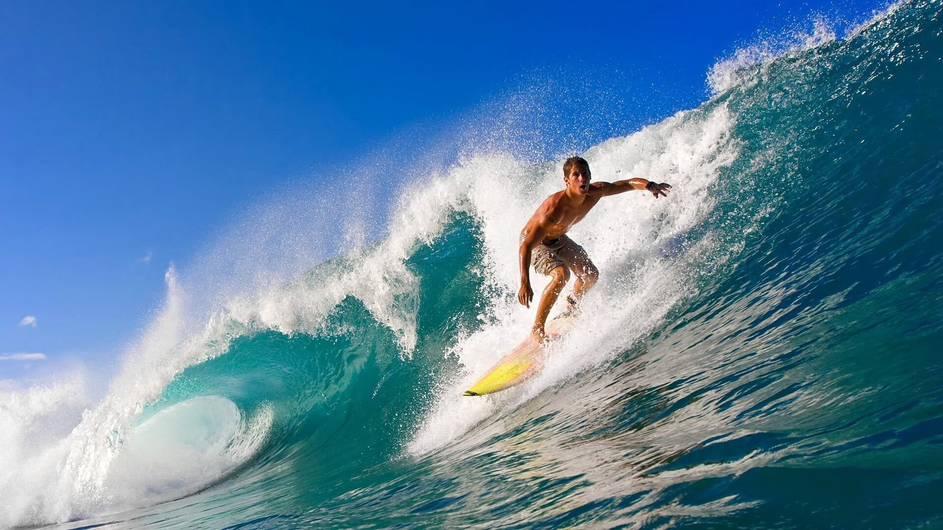 当横扫成为序章，从布鲁克林篮网到2026世界杯，莫兰特的接管时代